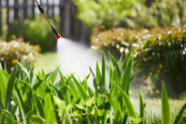 24/7 Emergency Wasp Removal experts in Jacksonville, IL