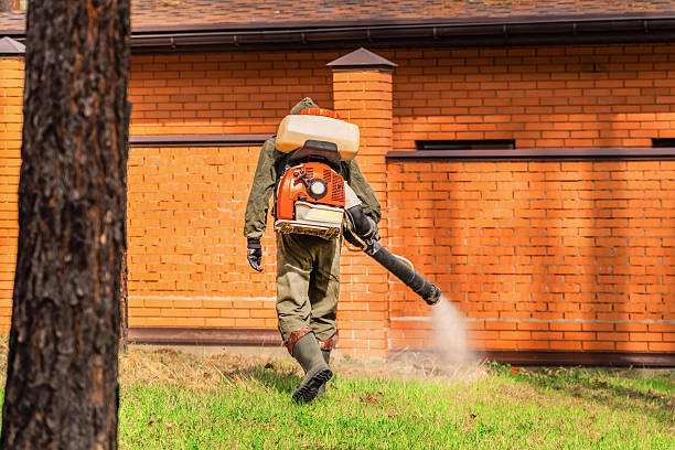 Top rated local Wasp Removal specialists in Jacksonville, IL